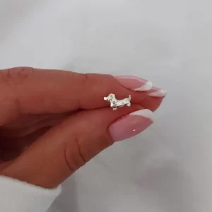 Aro perro salchi solitario